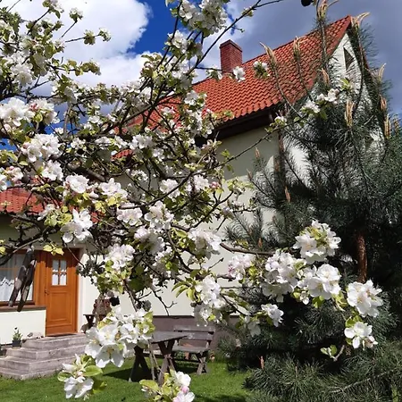 Agroturystyka Tam Gdzie Sosny Ścinawka Dolna Exterior photo