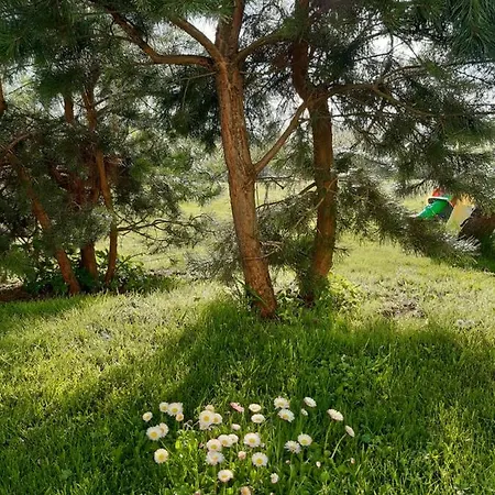 Agroturystyka Tam Gdzie Sosny Ścinawka Dolna Exterior photo
