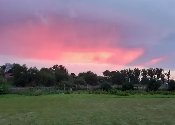 Agroturystyka Tam Gdzie Sosny