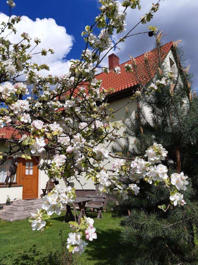 Tam Gdzie Sosny Holiday home